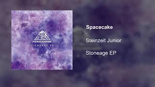 Steinzeit Junior quotSpacecakequot official audio [upl. by Raamal]