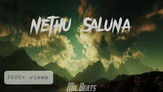 Nethu saluna  නෙතු සැළුනා  ✨ [upl. by Aikmat]