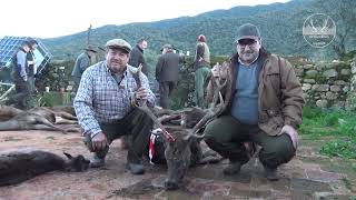 PROMO MONTERÍA LA CANDELERA ALTA 2024  ALFONSO YUSTE Y SPANISH HUNTING EXPERIENCE [upl. by Nylirem]