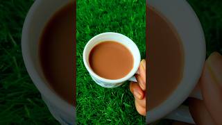 এই চায়ের স্পেশাল কিন্তু অনেক কিছুই আছে ☕☕ shorts youtubeshorts shortsvideo [upl. by Sheela]