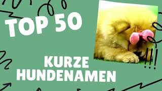 50 kurze Hundenamen [upl. by Harold610]