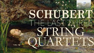 Schubert The Last Three String Quartets [upl. by Tnerual]