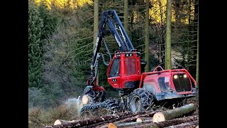 🌲Komatsu 931 in big trees • Harvester im Einsatz • Forstbetrieb D Wiese • Part1🌲 [upl. by Yeldah377]