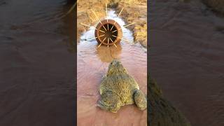 Survival Skills Simple and Useful with Clay Frog Trap survival bushcraft camping shrots [upl. by Dualc]