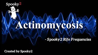 Actinomycosis  Spooky2 Rife Frequencies [upl. by Ynafetse234]