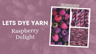 Lets Make Hand Dyed Yarn  Raspberry Delight [upl. by Rangel]