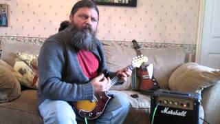 Review of two electric mandolins  Fender mandocaster amp Mandobird [upl. by Aenat]