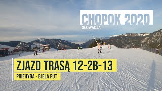 Chopok 2020  na nartach  zjazd trasą 12  2B  13 ze stacji Priehyba do stacji Biela Put [upl. by Marilou819]