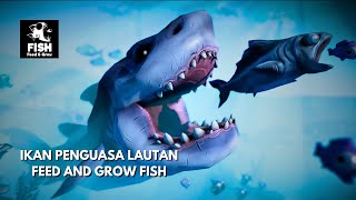 MENCOBA MENGALAHKAN HIU TERKUAT DAN TERBESAR  Fish Feed and Grow [upl. by Asena]