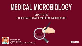 BIO 225 LECTURE 15 Chapter 18  Cocci Bacteria of Medical Importance [upl. by Gievlos]