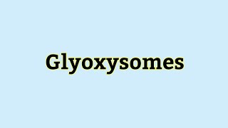 Glyoxysomes  Microbodies  Glyoxysome  Cellular Organelles  Cell Biology  Urdu  Hindi Lecture [upl. by Erv]