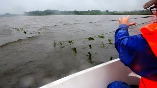 Garnrøgtning Randers Fjord i Regnvejr Djursland [upl. by Tirb]