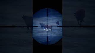 SUNDARPATAN water buffalo HUNT The hunter call of the wild Nepal reserve hunting cotwgameplay [upl. by Argyle]