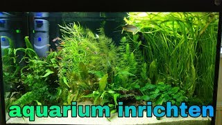 Beplant AQUARIUM INRICHTEN mijn tipsNickey [upl. by Tebzil]