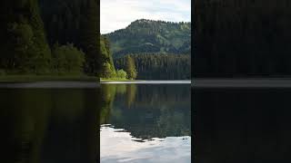 5Minute Mindfulness Meditation  Lake View amp Bird Sounds for Calm and Focus [upl. by Dymphia]