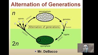 Alternation of Generations [upl. by Reisch]