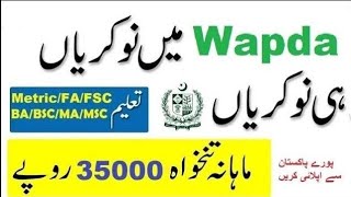 WAPDA Jobs 2024 – Download PTS Application Form [upl. by Qidas]