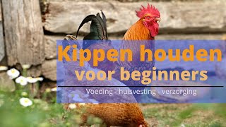 Kippen houden in 5 simpele stappen [upl. by Eelrihs169]