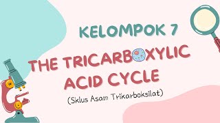 Kelompok 7” The Tricarboxylic acid cycle “ Kelas F [upl. by Anitnas628]