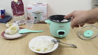 Dash Mini Rice Cooker Demo  Lemon Garlic Rice [upl. by Fosdick]