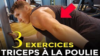 3 EXERCICES TRICEPS À LA POULIE INDISPENSABLE POUR SE MUSCLER [upl. by Wickham]