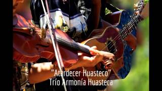 Los Mejores Huapangos Huastecos del Trío Armonía Huasteca [upl. by Huntley]