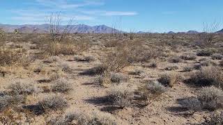 SOLD  117 Acres Undeveloped Land For Sale Mohave County Arizona APN 24519010B [upl. by Nnyw]