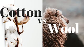 Cotton vs Wool [upl. by Neelrak]