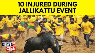 Madurai Jallikattu 2024  Jallikattu Bull Taming Madurai 10 Injured In Palamedu Event  N18V [upl. by Erma787]