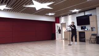 StrayKids LeeKnow 스트레이키즈 리노 “Finesse” Dance Practice [upl. by Llevert]