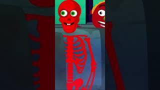 Five Skeletons Riding On A Spooky Water Bus shorts nurseryrhymes [upl. by Denby]