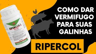 COMO DAR VERMIFUGO PARA AS GALINHAS RIPERCOL [upl. by Annaeed897]