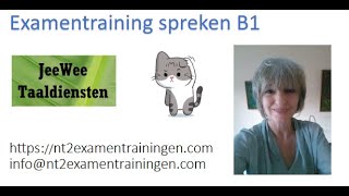 Oefenvideo Staatsexamen spreken B1 [upl. by Eshman]