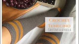 Calcetines a la rodilla Crochet Tunecino [upl. by Mcspadden]