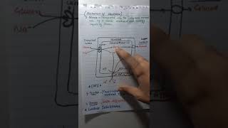 Carbohydrates Digestion and AbsorptionBiochemistry Sahiba Sohbat [upl. by Runkle599]