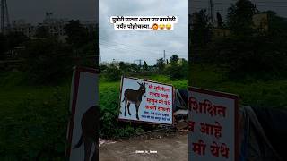 पुणेरी पाट्या सगळीकडे effective असतात🙌🔥😂  Pune puneripatya puneripati wagholi [upl. by Lenssen438]