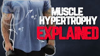 Muscle Hypertrophy Explained How to get MASSIVE Gains [upl. by Obellia486]