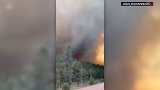 Cattle evacuated in Ruidoso New Mexico wildfire [upl. by Connett]