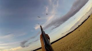 Goose hunting in Denmark 201819 [upl. by Nihi]