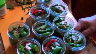 Pickled Peppers Infused With Olive Oil  Delicious [upl. by Aiciles]