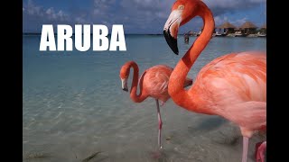 Renaissance Isand Aruba FLamingo beach Aruba [upl. by Ailecara37]