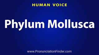 How To Pronounce Phylum Mollusca [upl. by Sauder]