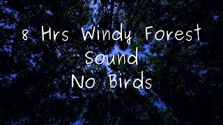 8 HOURS  Windy Forest Sound  NO BIRDS [upl. by Kcirdahc]