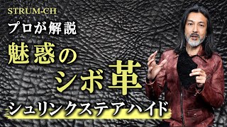 【革好き必見】魅惑のシボ革“シュリンクステアハイド”｜革ジャンメンズファッションLeather jacket [upl. by Allin]