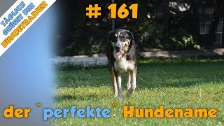 TGH 161  der quotperfektequot Hundename  worauf du achten solltest [upl. by Uticas328]