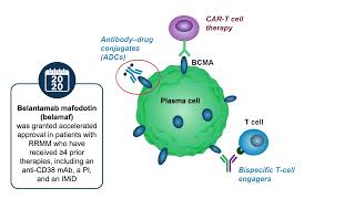 An quotOfftheShelfquot Approach for Myeloma Care BCMA Antibodies [upl. by Anselma]