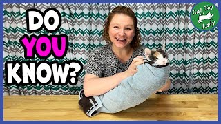 How To Towel Wrap Your Cat [upl. by Feltie]