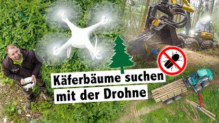 Käferbäume suchen mit der Drohne 🌲 MW Forst App 🌲 Ponsse Fox Harvester und Gremo Forwarder [upl. by Innus260]