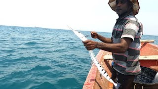 Catching Queen Fish Horse Mackerel Fish amp Needle Fish in the Sea [upl. by Alios789]