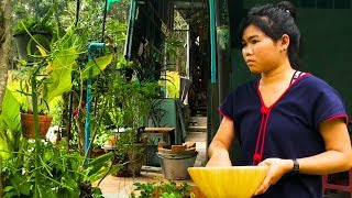 How to Make Thai Jungle Curry with Chicken and Jungle Curry Paste Cooking Gaeng Pa แกงป่า [upl. by Namus520]